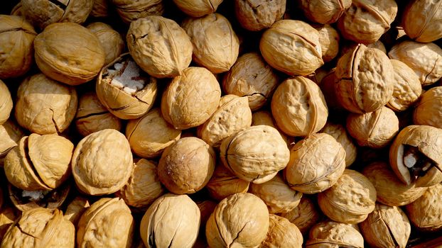 Pile of walnuts in shells