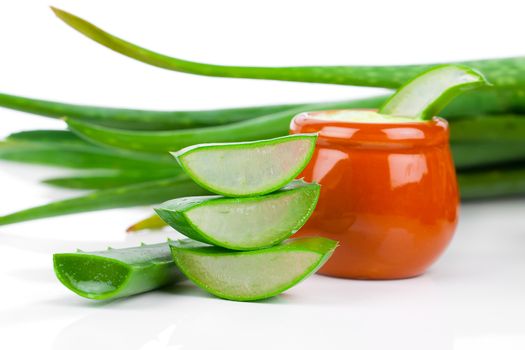 aloe-vera, isolated on white background
