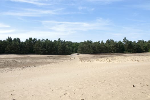 dutch landscape area called kootwijkerzand