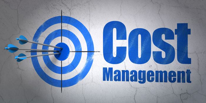 Success finance concept: arrows hitting the center of target, Blue Cost Management on wall background, 3d render