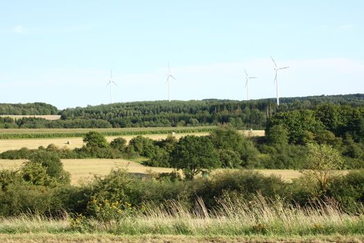 A landscape with wheat fields and forest