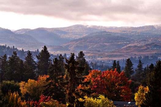 Early Morning in the Mountians