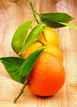 Three Fresh Ripe Tangerines with Stems and Leafs In a Row on Rustic Wooden background