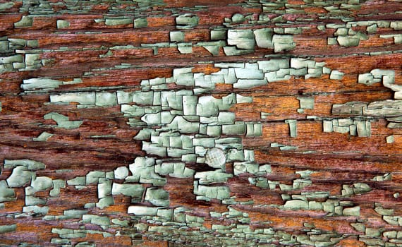 Old Wooden Plank with Weathered Paint Closeup