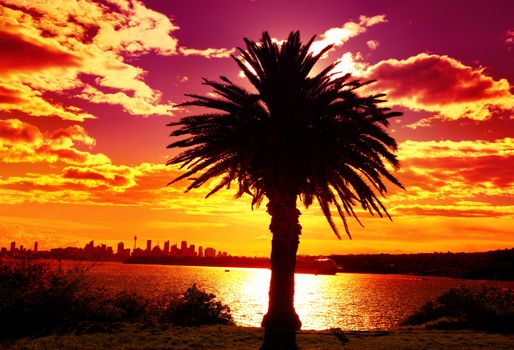 Silhouette scenic view of Sydney Australia from South Head, summer afternoon