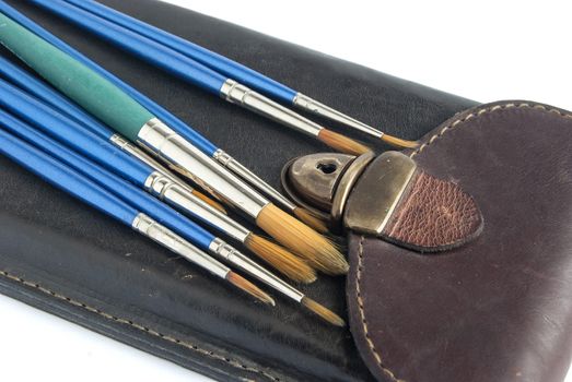 Leather case and paint brushes on white background