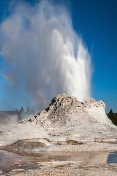 Gayser eruption in Castle Geyser in the Yellowstone National Park