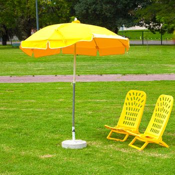 yellow umbrellas and loungers standing on the grass