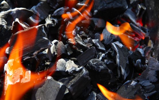 Beautiful fire on coal macro closeup