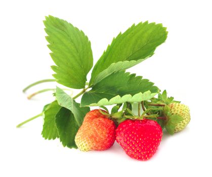 Strawberry with leaves isolated on white background
