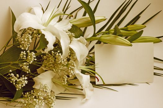 White lily flowers and post card over white background