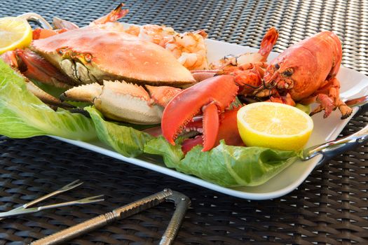 Red lobster, dungenees crab and jumbo Shrimps on a plate along with sea sheller utensils