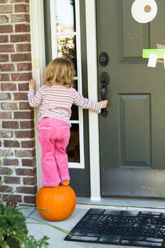 Little toddler girl looking for Halloween candy on top of the pumpkin to reach the door bell while keeping balance. Looking inside of the house with hope someone will answer. She has pretty orange socks