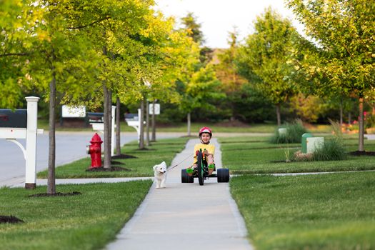 Young boy walking the dog with his tricycle on the nicely cut grasses in their neighborhood