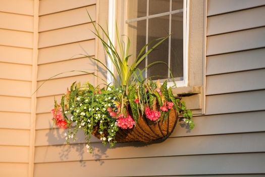 Sunset time, flower box with coco liner in front of the window, horizontal