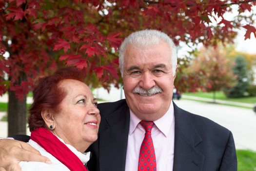 Senior Couple looking at you confidently under the autumn tree