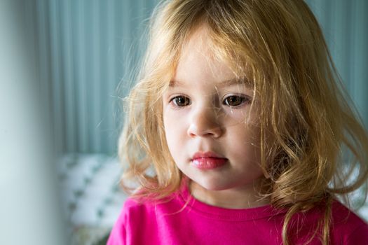 Young Toddler focused at computer monitor carefully perhaps watching YouTube