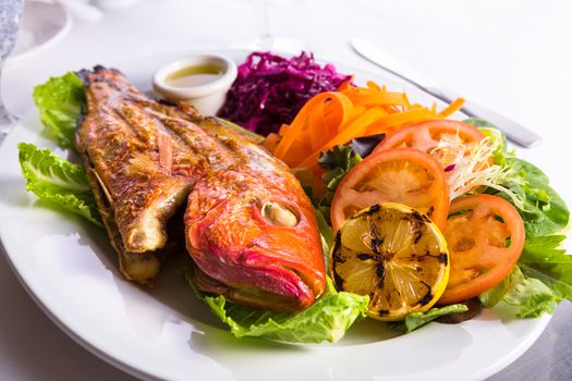 Full cooked outrageously handsome tilapia fish served in a plate with vegetables and fish sauce