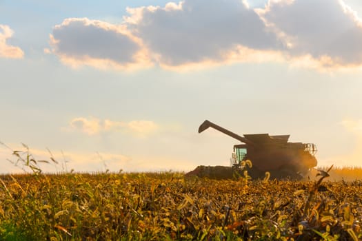 Corn harvesting machine in action at sunset with a nice sky view