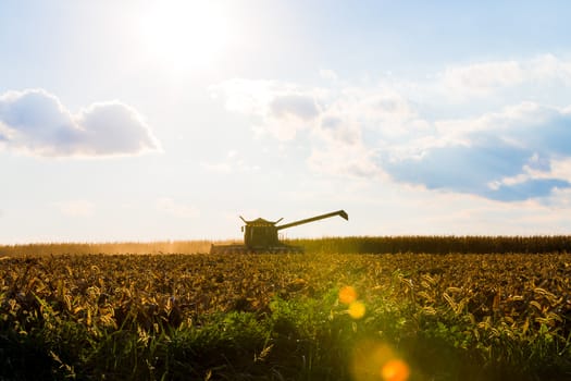 Corn harvesting machine's silhouette with lens flare