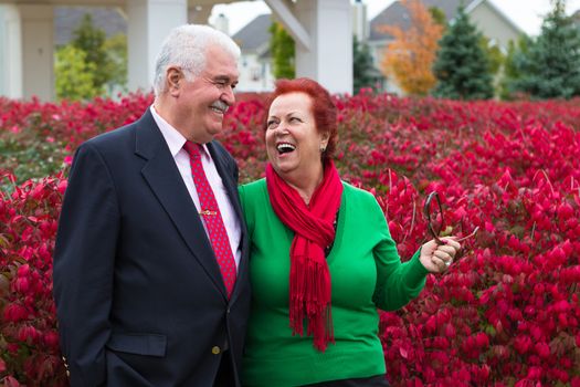 Happy and healthy senior enjoying autumn by the burning bush shrubs, she is wearing Christmas colors, red scarf and green shirt he has suit and tie