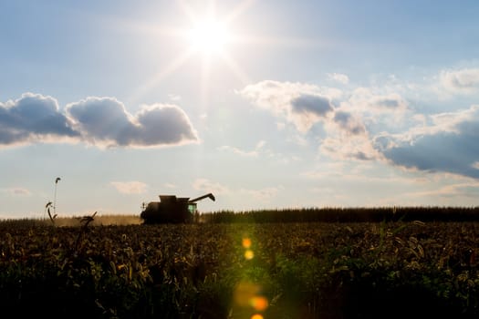 Corn harvesting machine's silhouette with lens flare