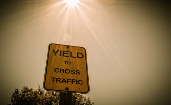 Sign Shield to cross traffic in Beverly Hills 2013