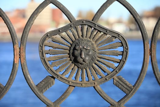 the old cast iron barelef lion head on a background of water close to.