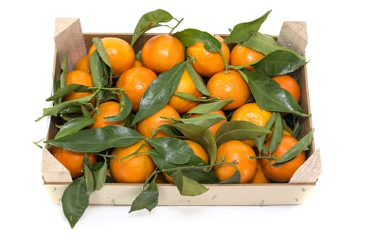 wooden box with mandarines isolated on white