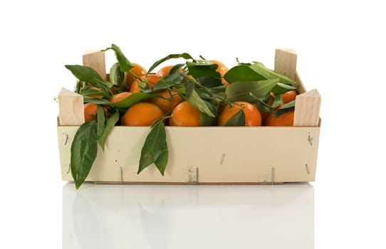 wooden box with mandarines isolated on white