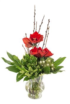 glass vase with red Amaryllis  green leaves and white roses