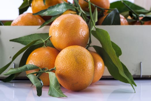 macro mandarines in orange with green leaves