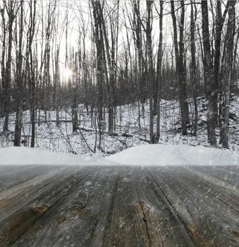 Winter forest background with wood planks in forefront