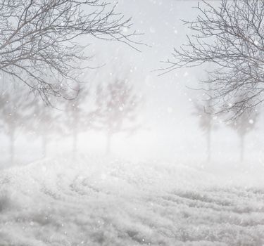 Snowy nature winter background