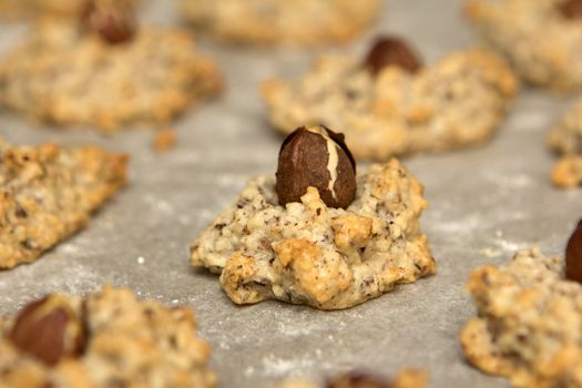 christmas cookies, macaroons with hazelnuts on baking paper