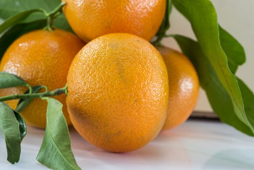 macro mandarines in orange with green leaves