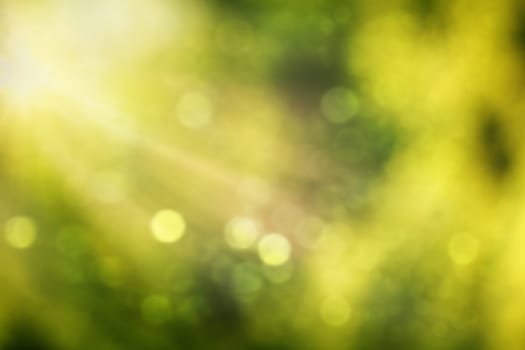 Abstract real nature green blurred background with bokeh