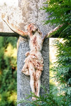 Crucifixion, Jesus Christ on the cross. Trees growing around cross.