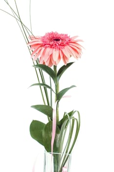 fresh bouquet from ping gerbers on white background