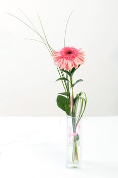 fresh bouquet from ping gerbers on white background