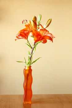 flowering orange lily on the wooden desk