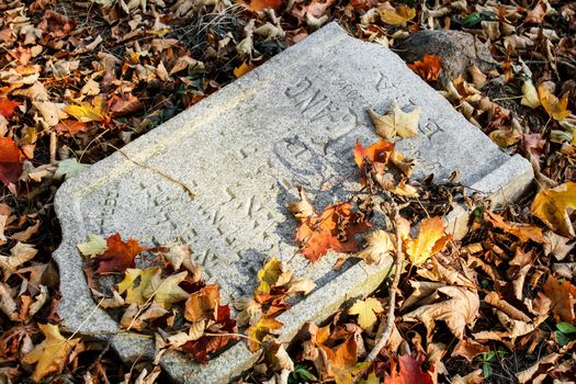 damaged tomb in forgotten and unkempt Jewish cemetery with the strangers
