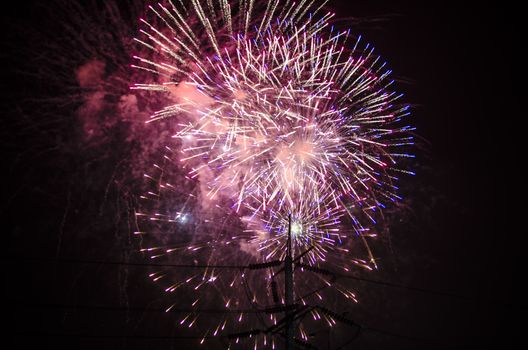 celebrate festival fire work on black sky background