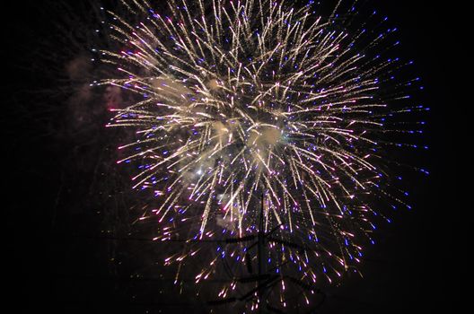 celebrate festival fire work on black sky background