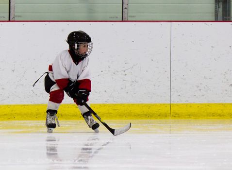 Child playing ice hockey