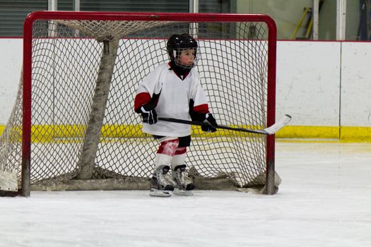 Child playing ice hockey