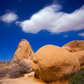 Joshua Tree National Park Intersection rock in Mohave desert California USA