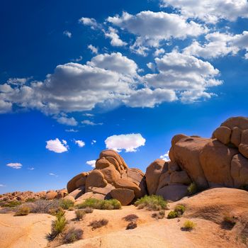 Skull rock in Joshua tree National Park Mohave desert Yucca Valley California USA