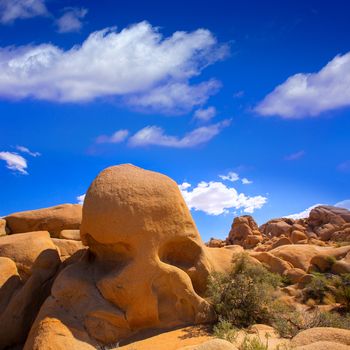 Skull rock in Joshua tree National Park Mohave desert Yucca Valley California USA