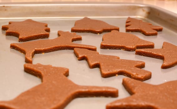 Closeup of festive uncooked gingerbread biscuits ready to baked